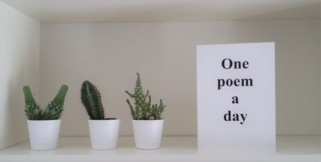 One Poem a Day Buch